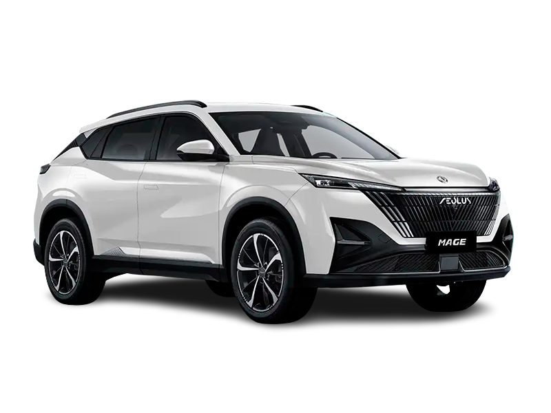 Купить Dongfeng Mage в Новокузнецке - Искрящийся белый